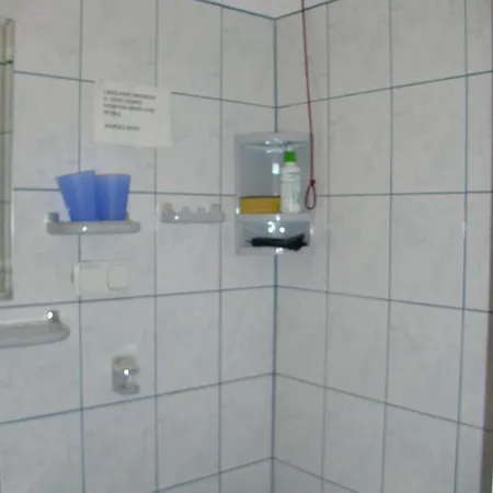 Goscinne Na Gasienicowym Potoku *