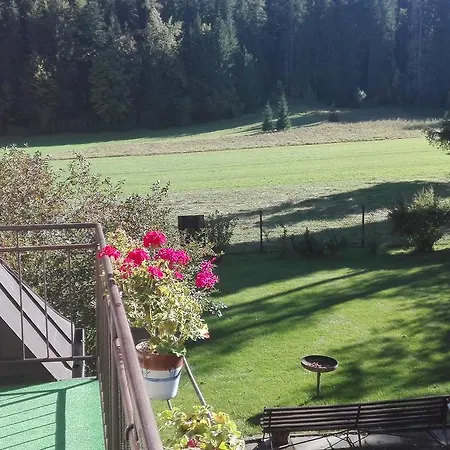 Goscinne Na Gasienicowym Potoku