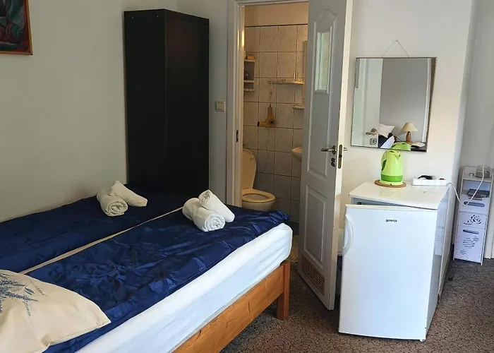 Goscinne Na Gasienicowym Potoku *