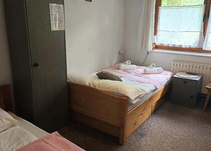 Goscinne Na Gasienicowym Potoku 扎科帕内