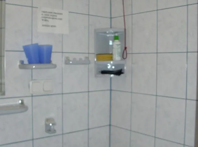 Goscinne Na Gasienicowym Potoku *