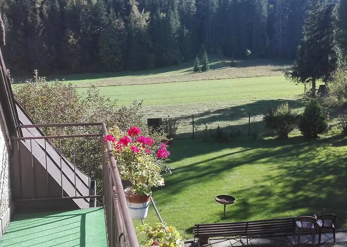 Goscinne Na Gasienicowym Potoku